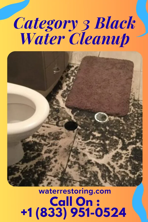 Category 3 Black Water Cleanup in Grand Cane, LA