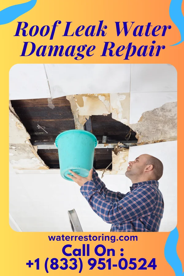 Roof Leak Water Damage Repair in Grand Cane, LA