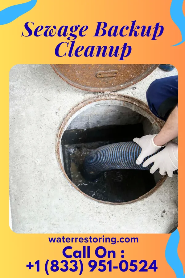 Sewage Backup Cleanup in Grand Cane, LA