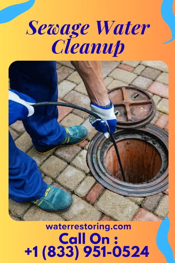 Sewage Water Cleanup in Grand Cane, LA